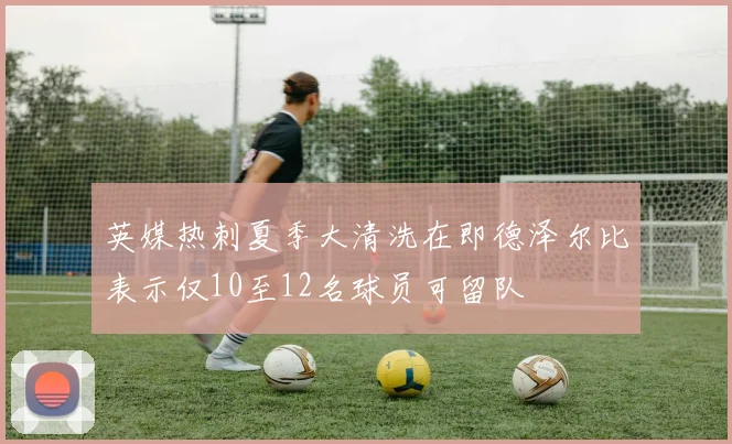 英媒热刺夏季大清洗在即德泽尔比表示仅10至12名球员可留队
