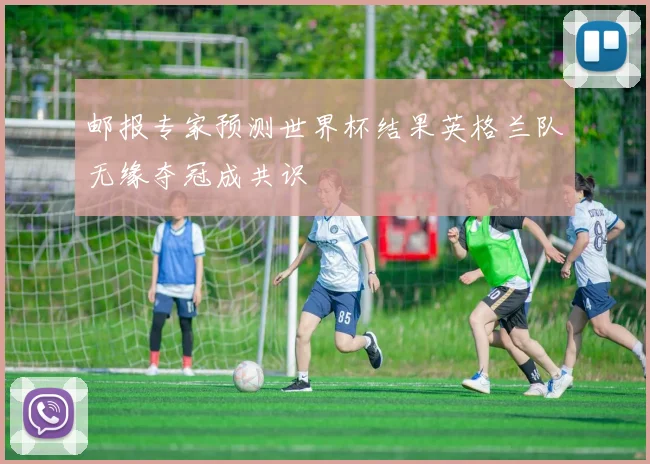 邮报专家预测世界杯结果英格兰队无缘夺冠成共识